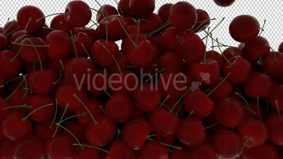 Cherry Transition Videohive 20514985 Motion Graphics Image 4