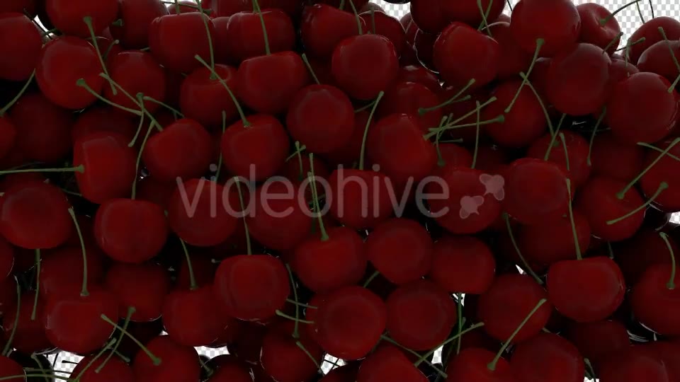 Cherry Transition Videohive 20514985 Motion Graphics Image 6