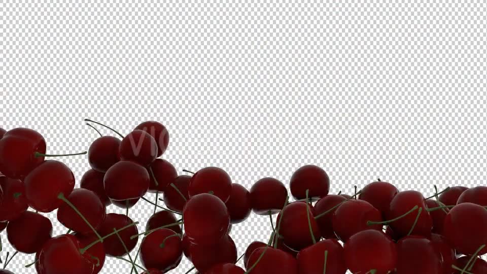 Cherry Transition Videohive 20514985 Motion Graphics Image 7