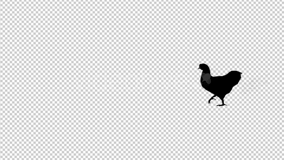 Chicken Walk Silhouette Animation Videohive 20475131 Motion Graphics Image 4