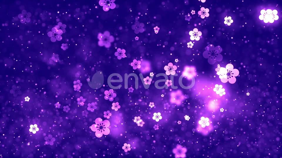 Chinese Plum Blossom Background V3 Videohive 23158982 Motion Graphics Image 2