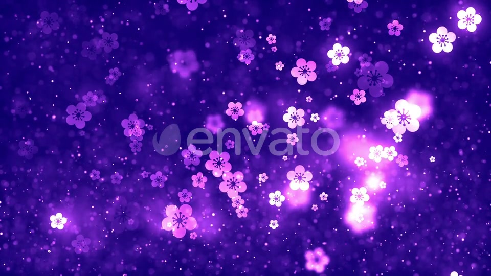Chinese Plum Blossom Background V3 Videohive 23158982 Motion Graphics Image 3