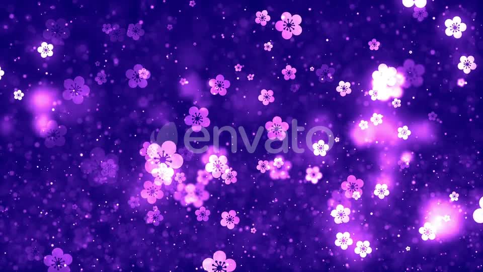 Chinese Plum Blossom Background V3 Videohive 23158982 Motion Graphics Image 7