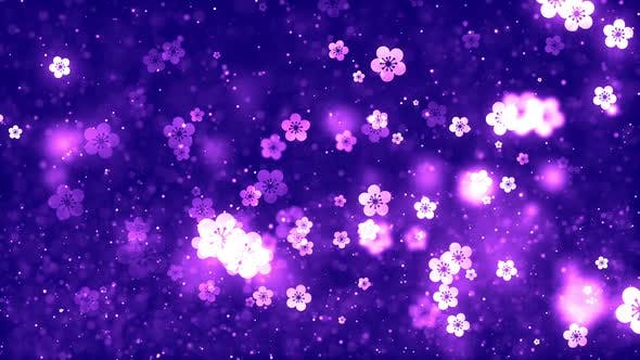 Chinese Plum Blossom Background V3 - 23158982 Videohive Download