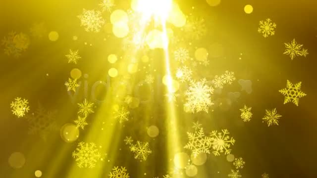 Christmas Light 3 Color Pack Videohive 3443090 Motion Graphics Image 1