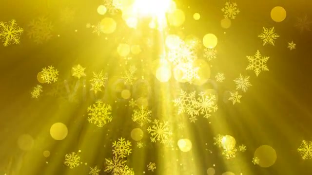 Christmas Light 3 Color Pack Videohive 3443090 Motion Graphics Image 10