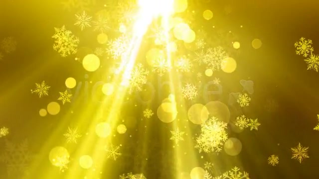 Christmas Light 3 Color Pack Videohive 3443090 Motion Graphics Image 2