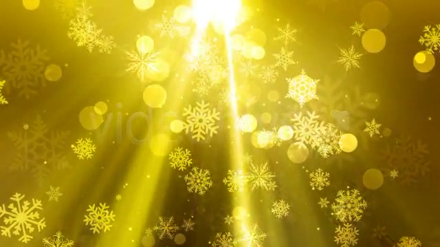 Christmas Light 3 Color Pack Videohive 3443090 Motion Graphics Image 6