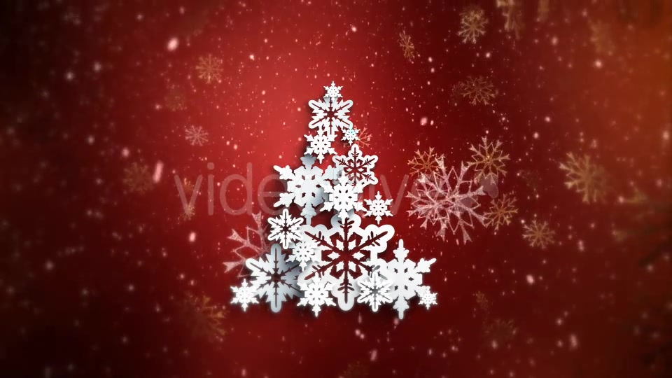 Christmas Pine Background Videohive 19055740 Motion Graphics Image 7