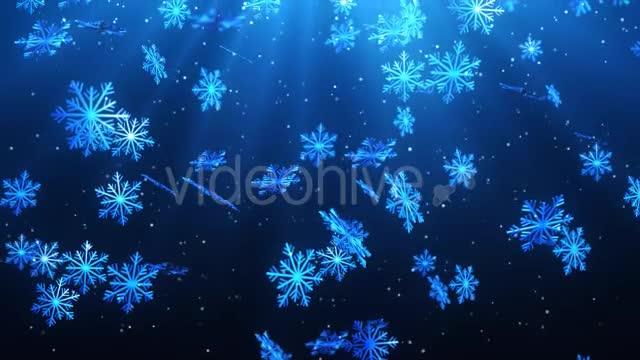 Christmas Snow Flakes Videohive 9439179 Motion Graphics Image 10