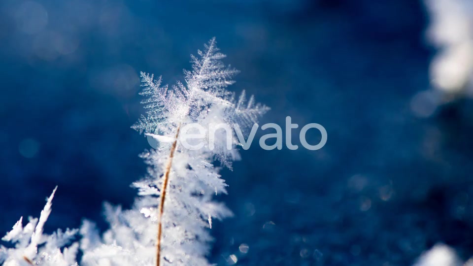 Christmas Snow Transitions Videohive 23035591 Motion Graphics Image 4