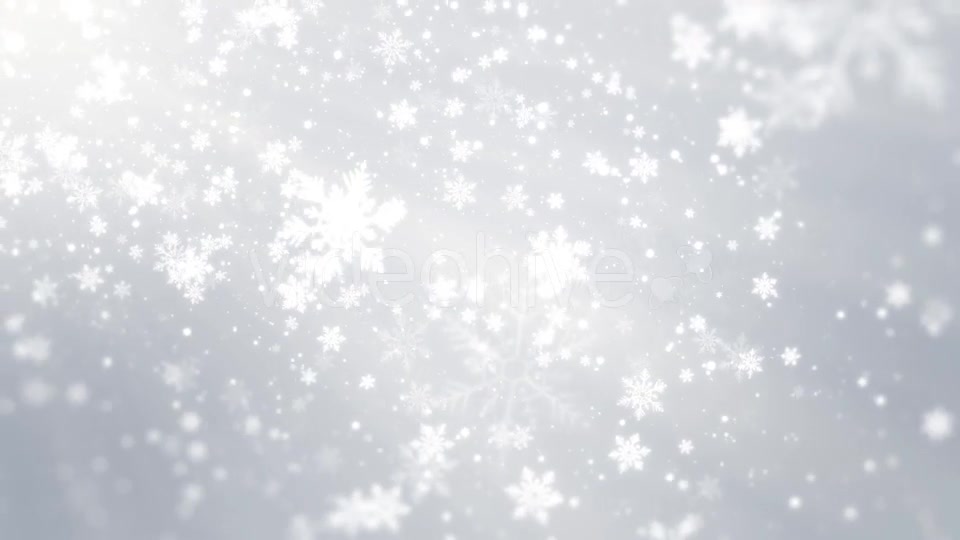 Christmas Snowflakes Background Videohive 21031228 Motion Graphics Image 9