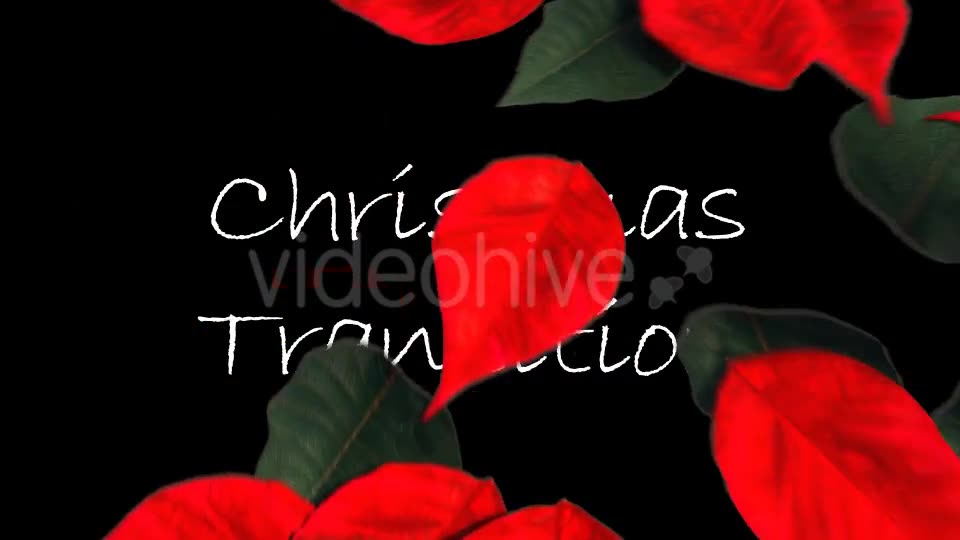 Christmas Transition Videohive 13722993 Motion Graphics Image 10
