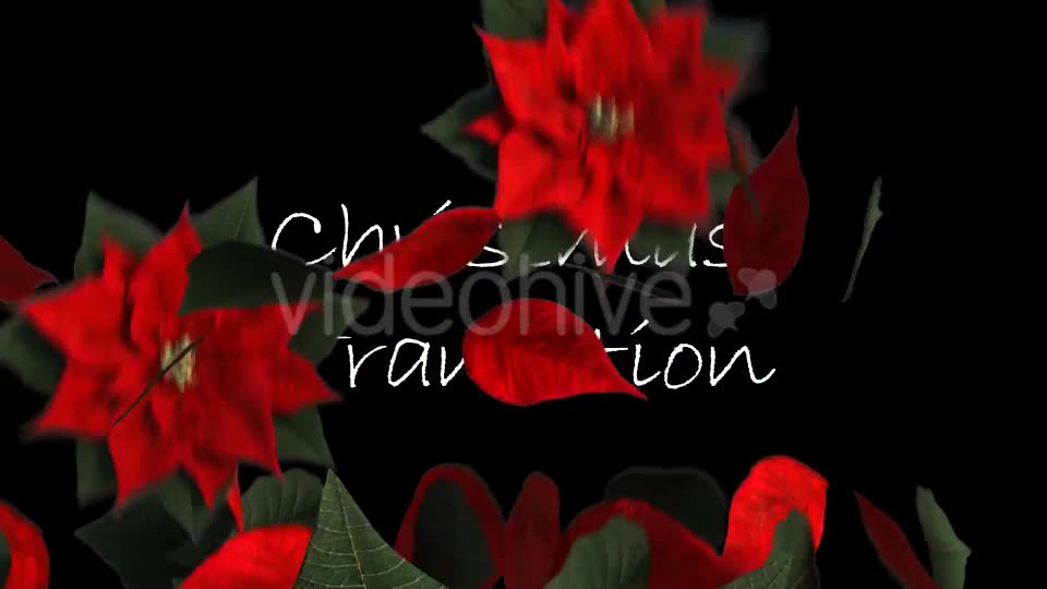 Christmas Transition Videohive 13722993 Motion Graphics Image 2