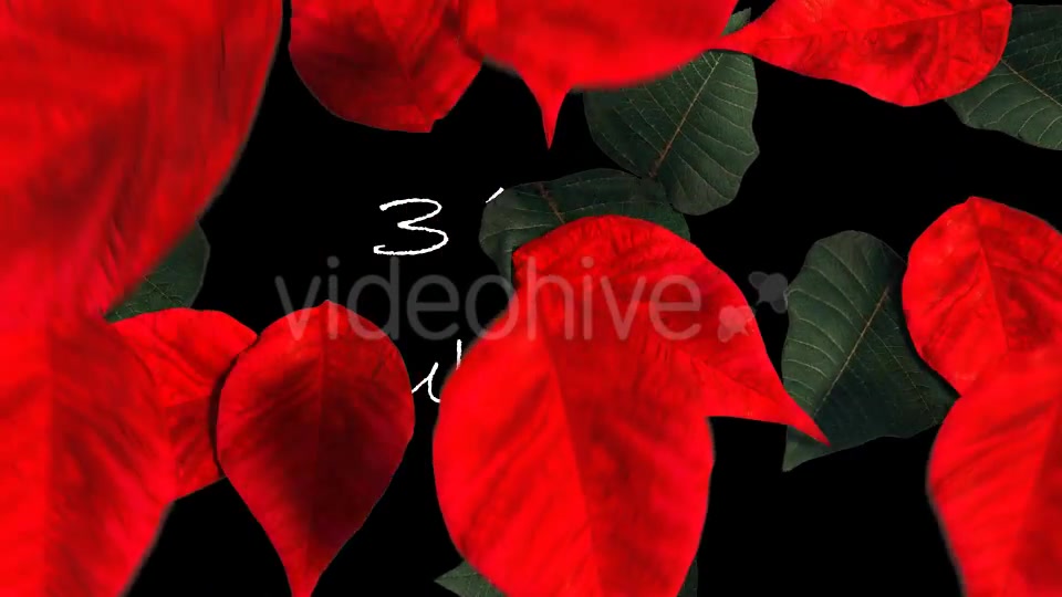 Christmas Transition Videohive 13722993 Motion Graphics Image 5