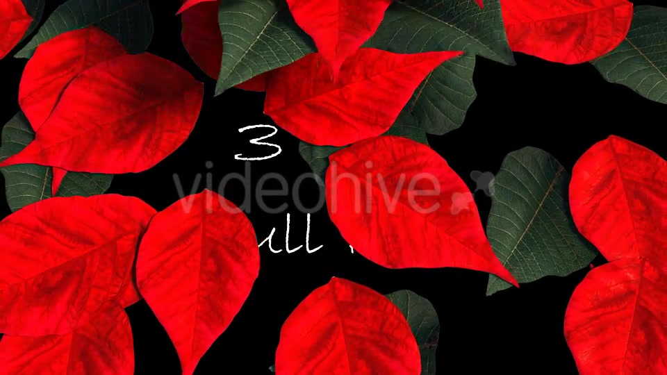 Christmas Transition Videohive 13722993 Motion Graphics Image 6