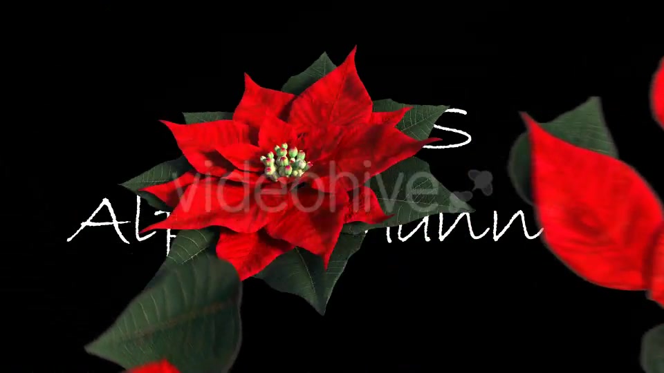 Christmas Transition Videohive 13722993 Motion Graphics Image 7