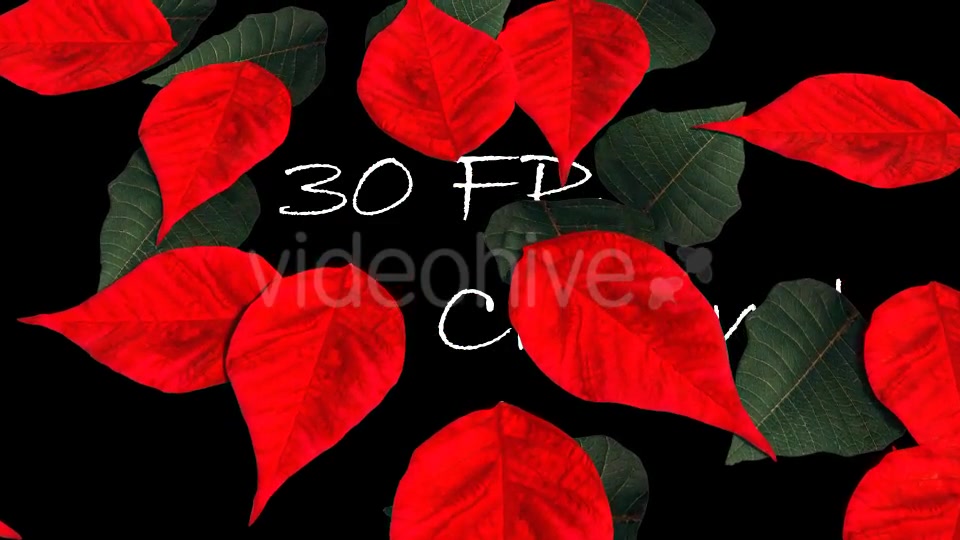 Christmas Transition Videohive 13722993 Motion Graphics Image 9