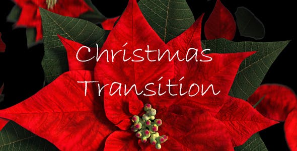Christmas Transition - 13722993 Videohive Download
