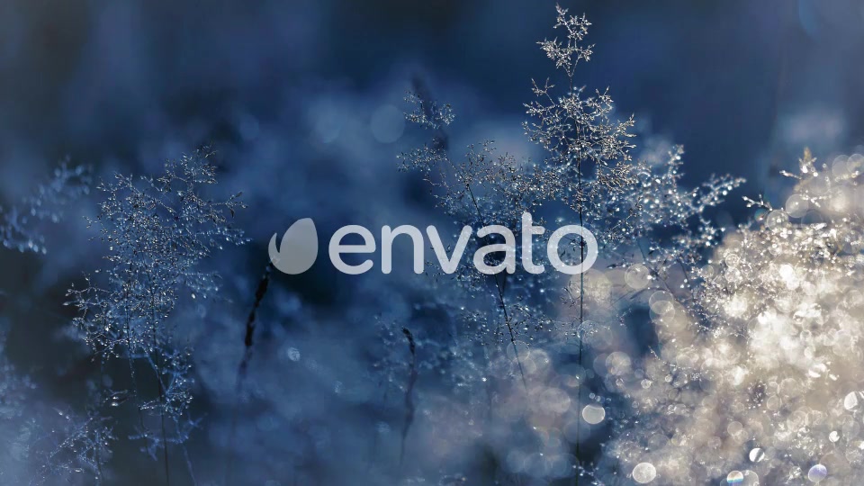 Christmas Transitions Videohive 22909200 Motion Graphics Image 3