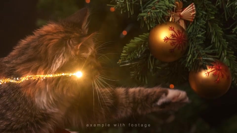 Christmas Transitions Videohive 24953518 Motion Graphics Image 4