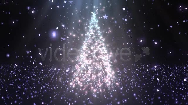 Christmas Tree Glitters 3 Videohive 6247764 Motion Graphics Image 3