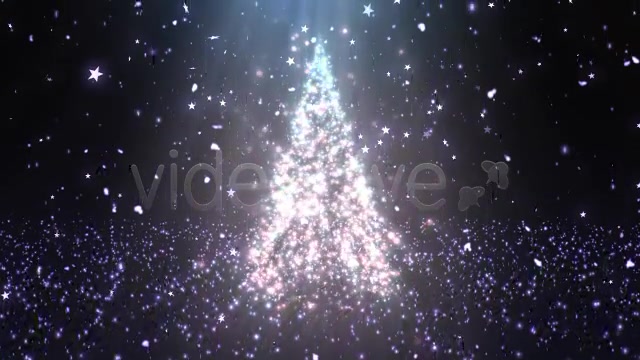 Christmas Tree Glitters 3 Videohive 6247764 Motion Graphics Image 6