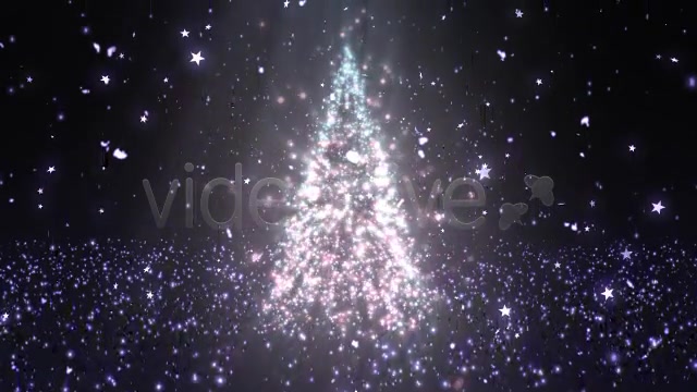 Christmas Tree Glitters 3 Videohive 6247764 Motion Graphics Image 8