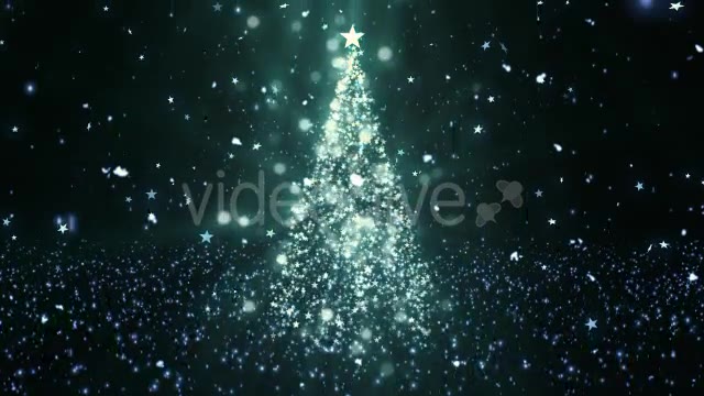 Christmas Tree Stars 1 Videohive 14051643 Motion Graphics Image 2