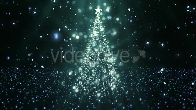 Christmas Tree Stars 1 Videohive 14051643 Motion Graphics Image 3