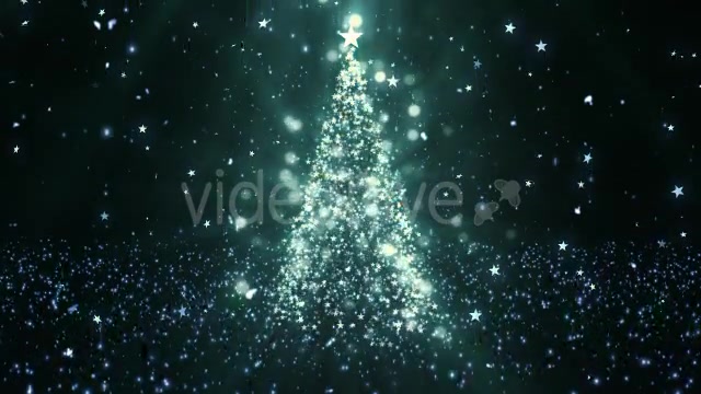 Christmas Tree Stars 1 Videohive 14051643 Motion Graphics Image 4