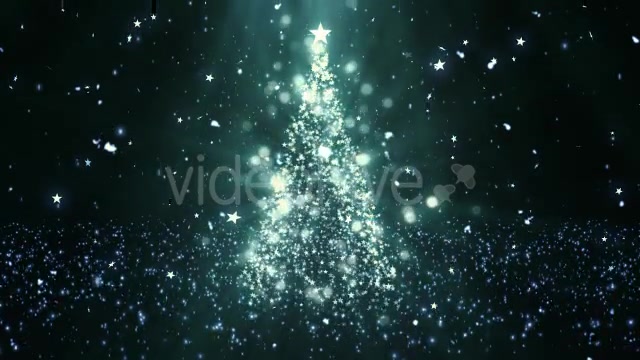 Christmas Tree Stars 1 Videohive 14051643 Motion Graphics Image 5