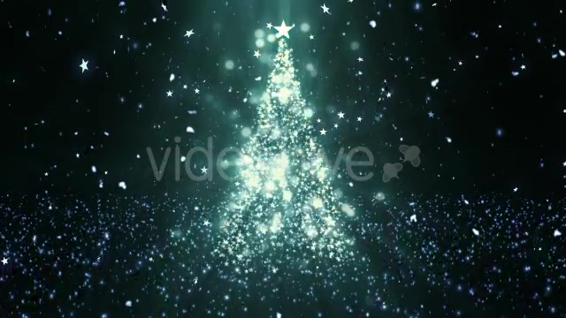 Christmas Tree Stars 1 Videohive 14051643 Motion Graphics Image 6