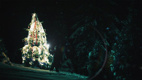 Christmas Tree Teaser - 9821964 Videohive Download