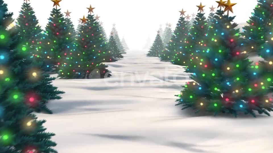 Christmas Trees Videohive 24964825 Motion Graphics Image 1