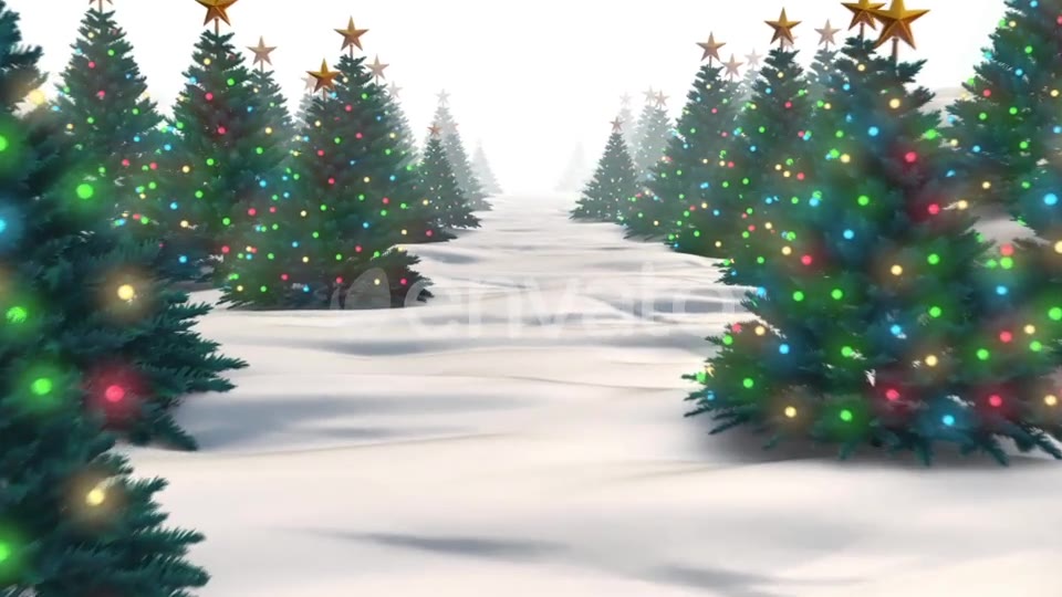 Christmas Trees Videohive 24964825 Motion Graphics Image 6