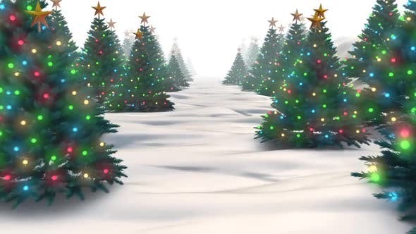 Christmas Trees - Videohive 24964825 Download