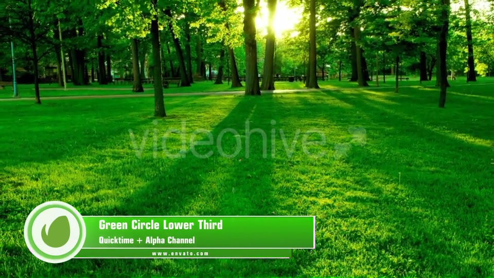 Circle Lower Third Videohive 11183432 Motion Graphics Image 7