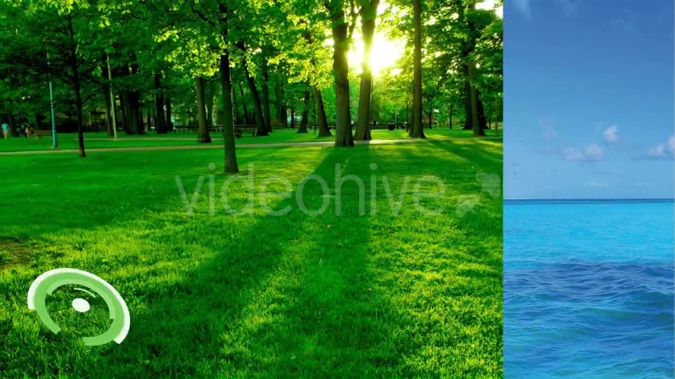 Circle Lower Third Videohive 11183432 Motion Graphics Image 8