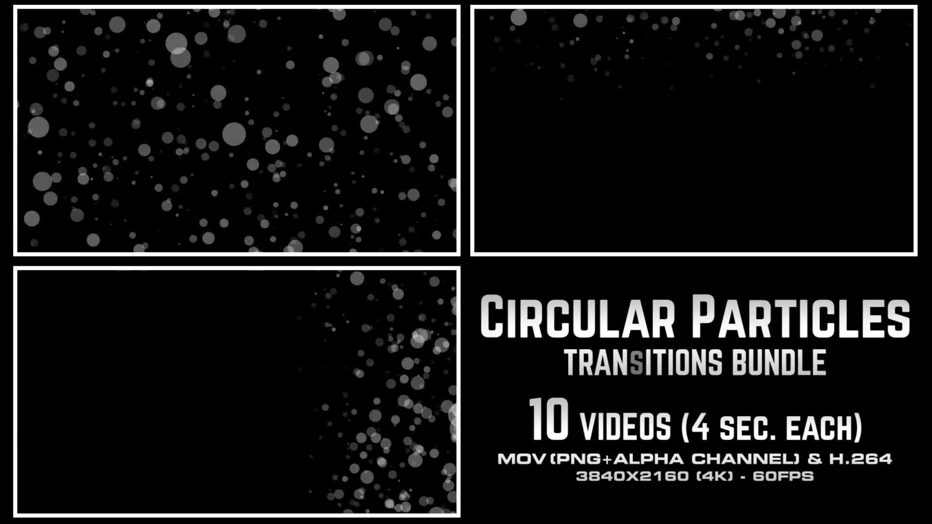 Circular Particles Transitions Bundle 4K Videohive 23659713 Motion Graphics Image 2
