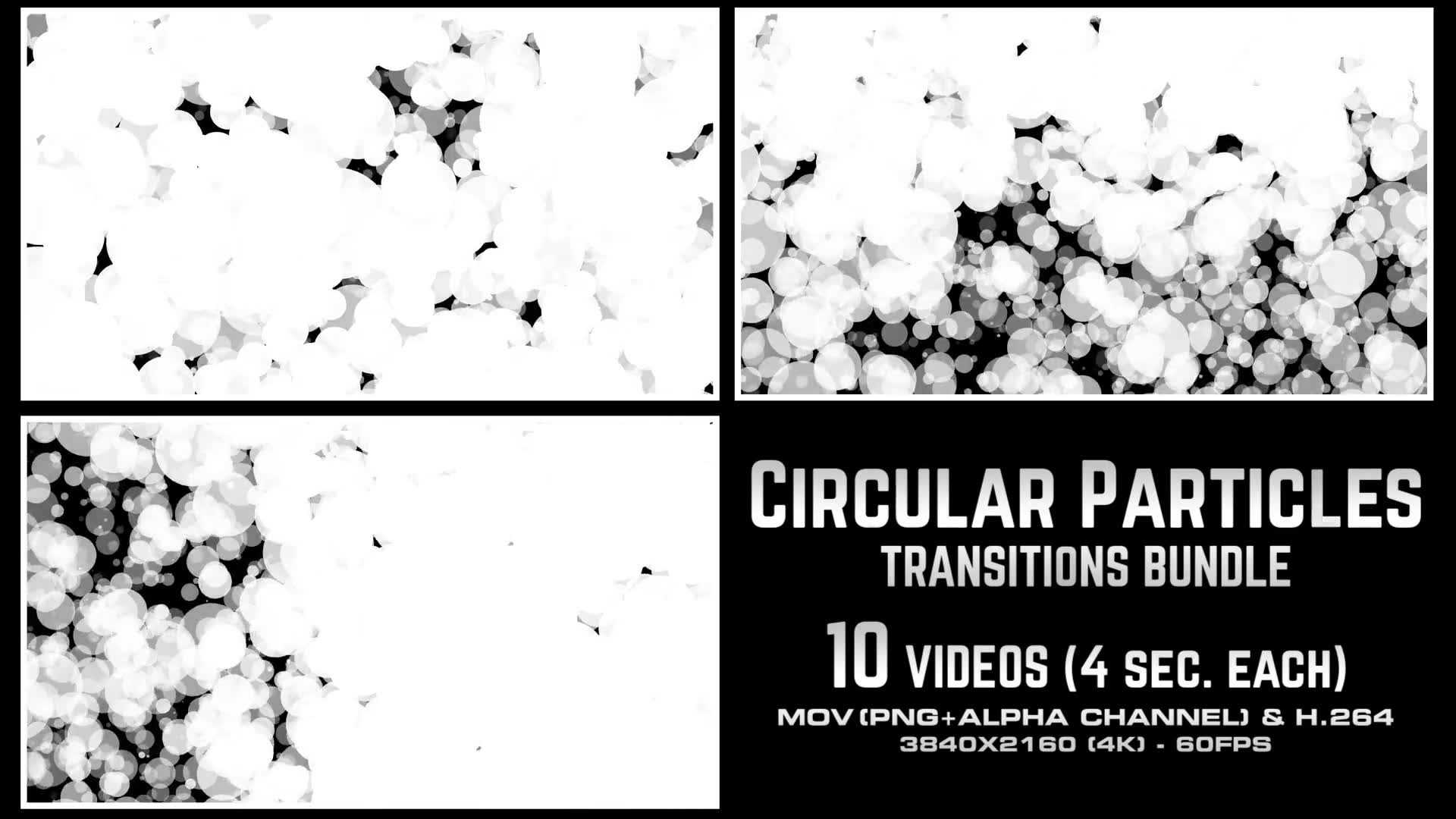 Circular Particles Transitions Bundle 4K Videohive 23659713 Motion Graphics Image 3