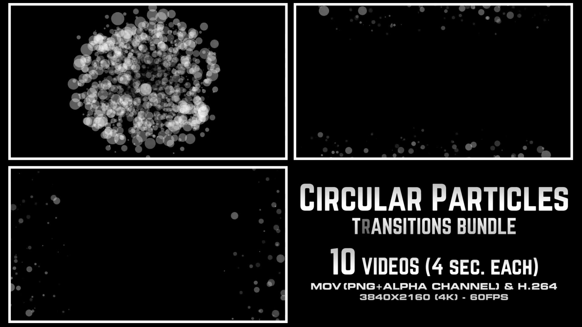 Circular Particles Transitions Bundle 4K Videohive 23659713 Motion Graphics Image 4