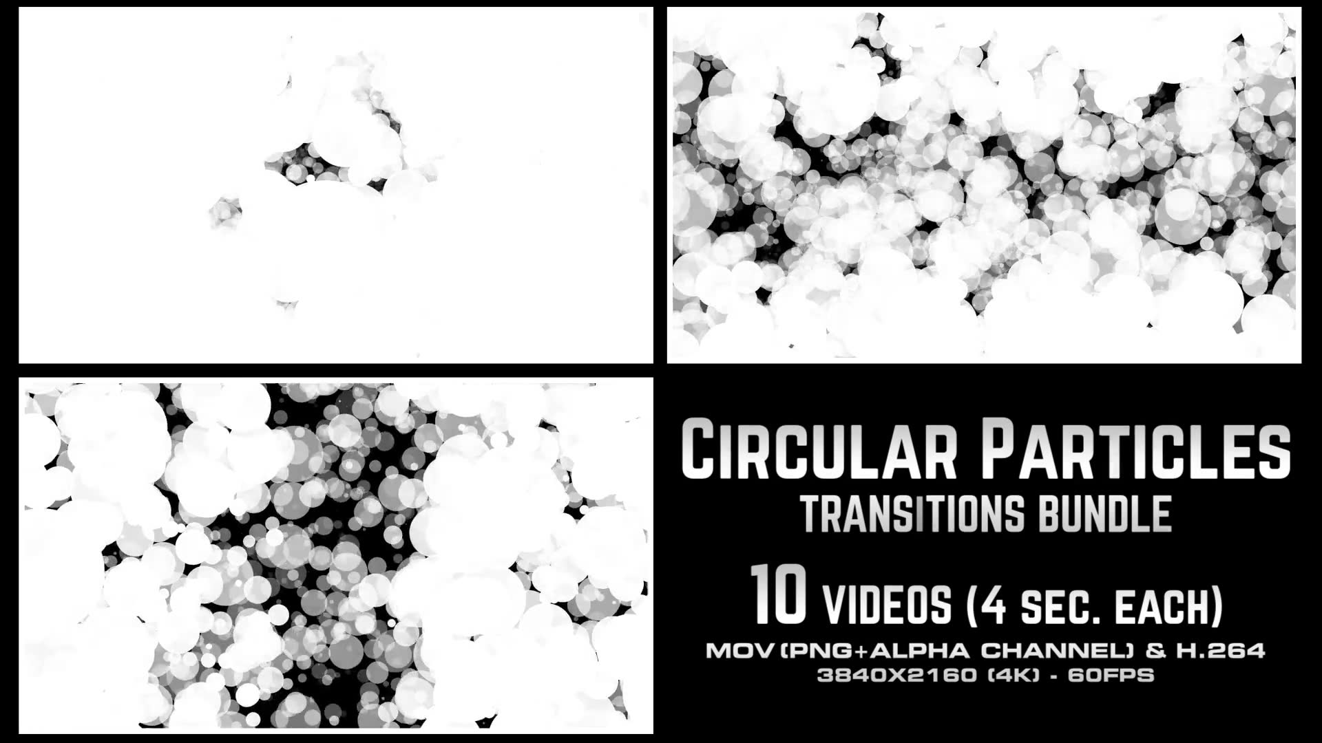 Circular Particles Transitions Bundle 4K Videohive 23659713 Motion Graphics Image 5