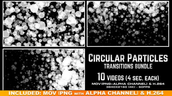 Circular Particles Transitions Bundle 4K - Videohive 23659713 Download