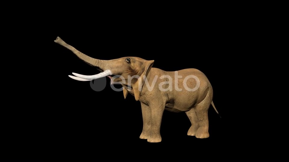 Circus Elephant Call Videohive 23484079 Motion Graphics Image 4