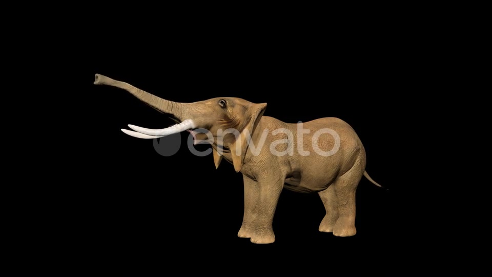Circus Elephant Call Videohive 23484079 Motion Graphics Image 5