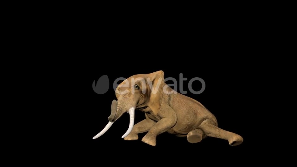 Circus Elephant Sleep Videohive 23477891 Motion Graphics Image 4