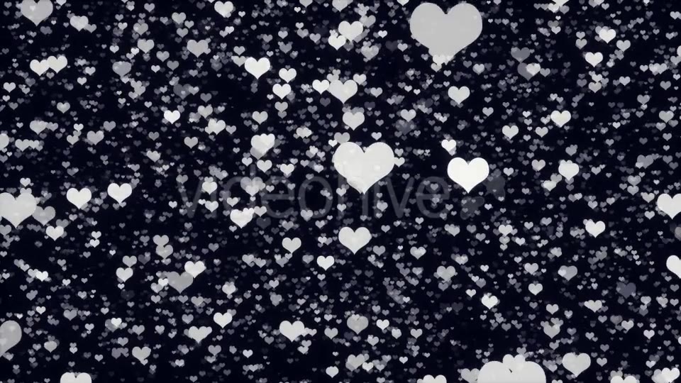 Classy Heart Background Videohive 19476440 Motion Graphics Image 4