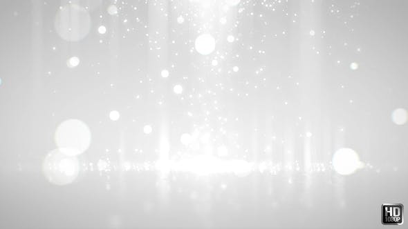 Clean Particle Background - 22119801 Download Videohive