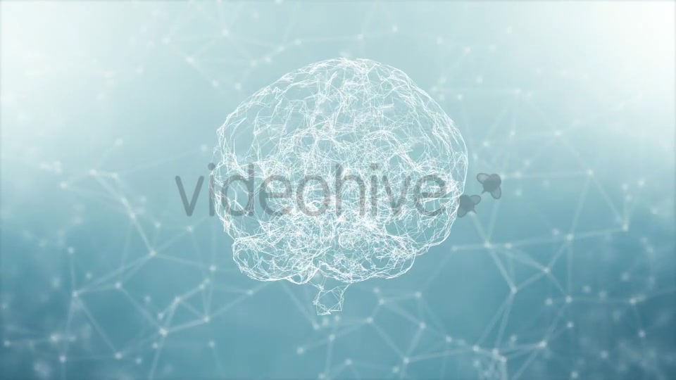 Clean Plexus Brain 4K #2 Videohive 19520709 Motion Graphics Image 6